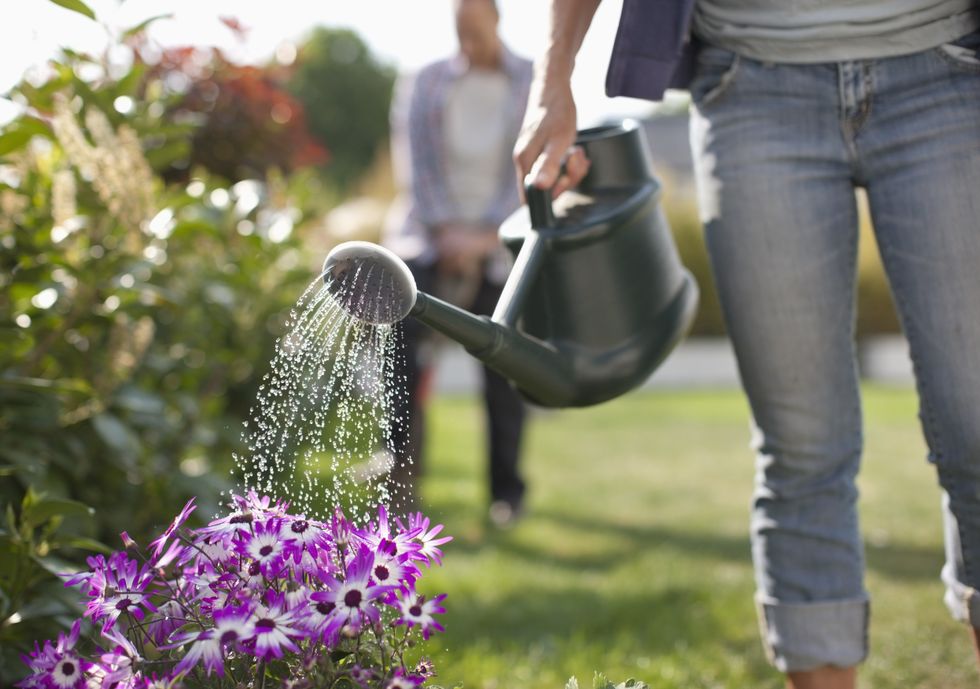 Watering flowers in garden