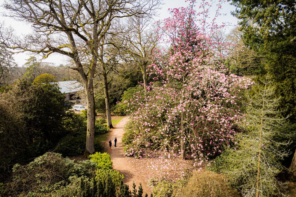 Westonbirt Arboretum