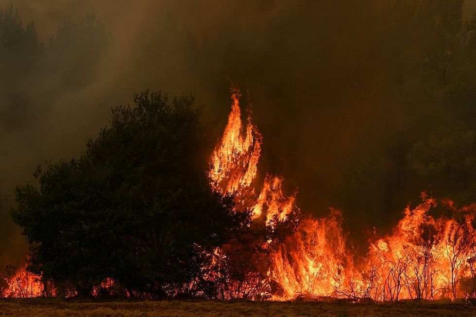 Wildfire