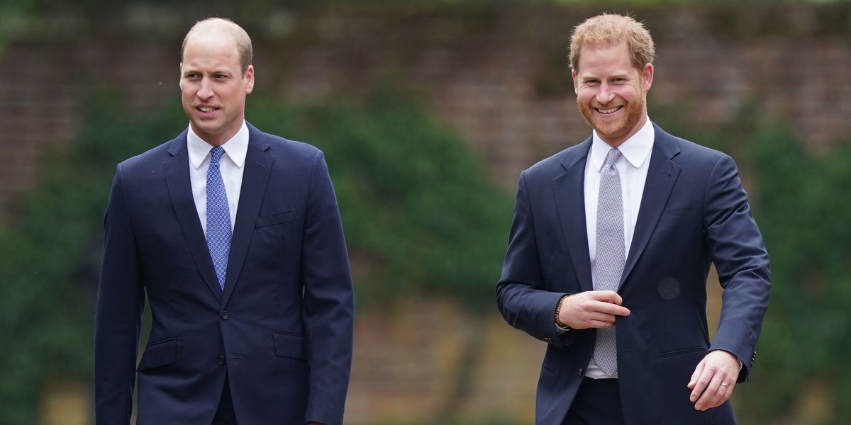 Majority of Britons want Harry and William to reconcile as Sussexes' UK return divides public