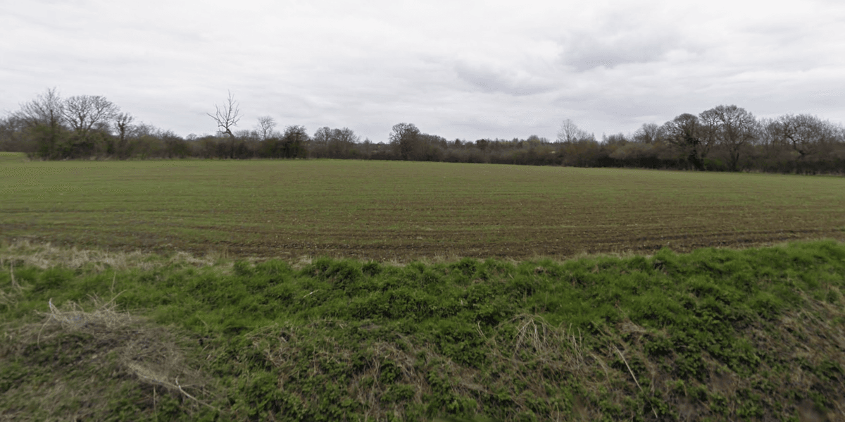 Travellers transform wildlife hotspot into illegal camp as four-acre site taken over on Bank Holiday weekend