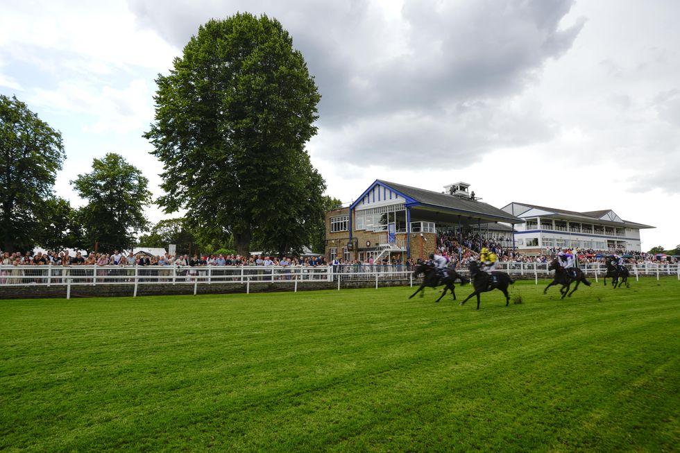 Windsor races
