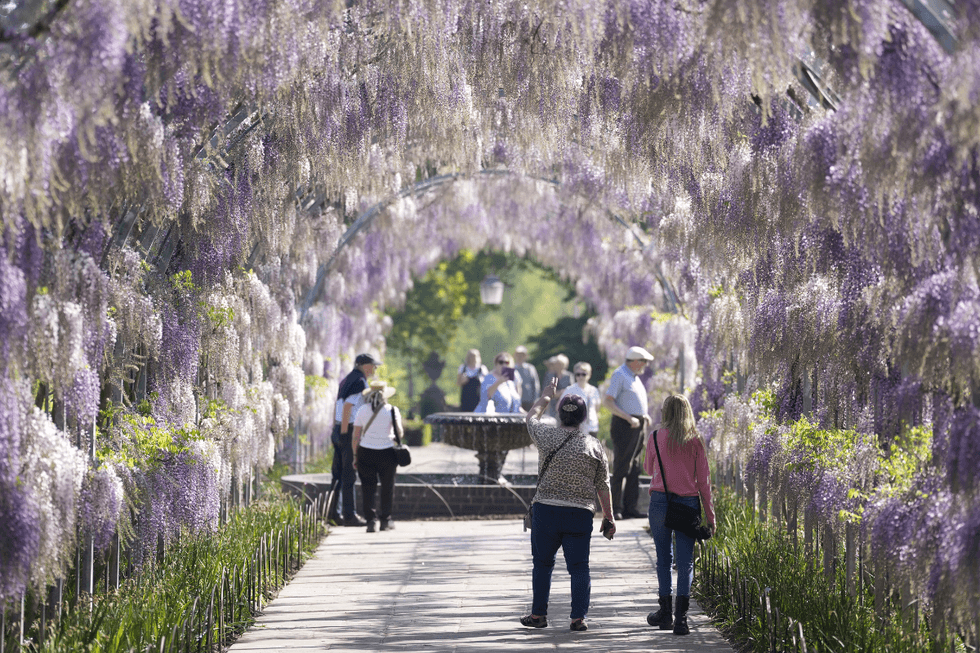 Wisley, Surrey
