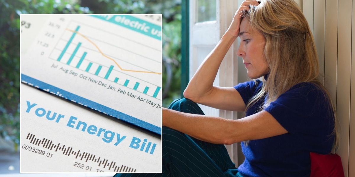 British households face an extra £1,400 A YEAR under net zero plans, report warns
