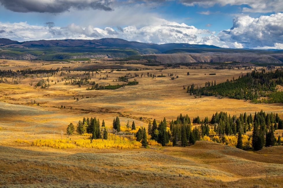 Yellowstone